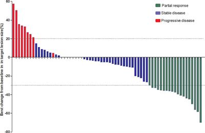 Efficacy and Safety of Anti-PD-1 Plus Anlotinib in Patients With Advanced Non–Small-Cell Lung Cancer After Previous Systemic Treatment Failure—A Retrospective Study